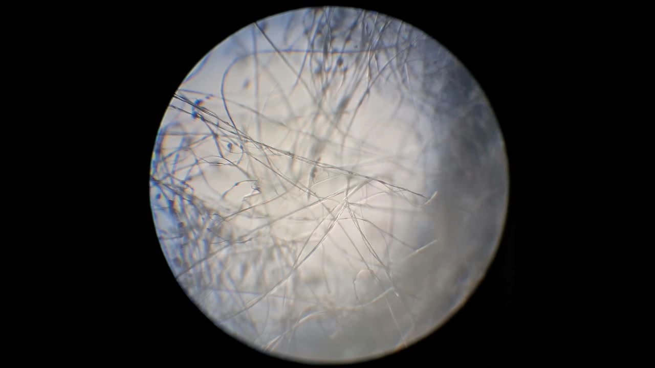 Electrospinning: Solution of Polystyrene in Ethyl Acetate